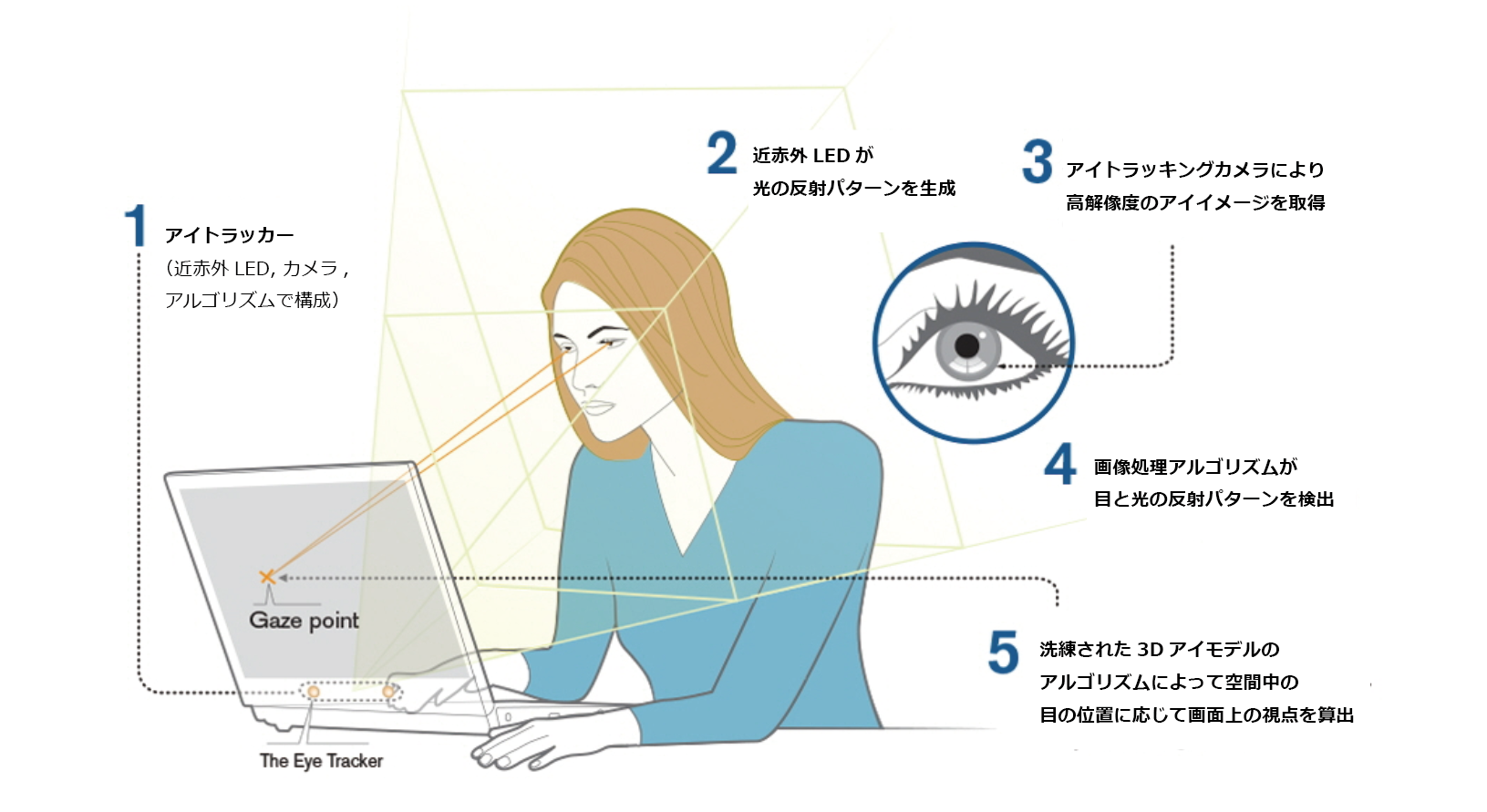 アイトラッキングの仕組みとは？入門編 - Tobii